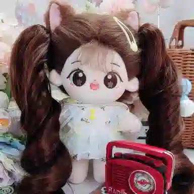 20cm