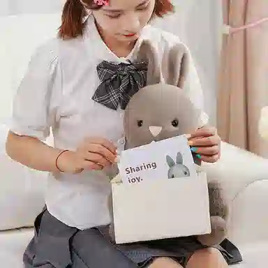25cm35cm50cm