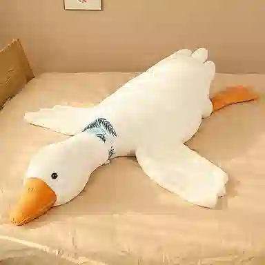 ZHUOQU 50cm90cm130cm160cm200cm