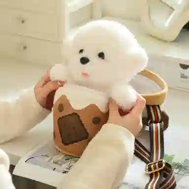 25cm
