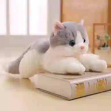 ZHUOQU