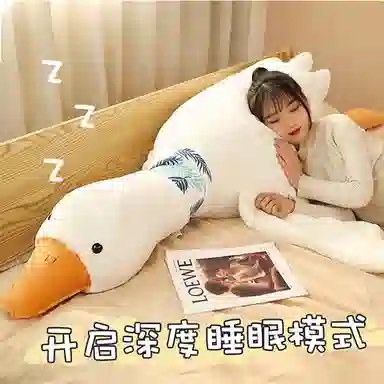 ZHUOQU 50cm90cm130cm160cm200cm