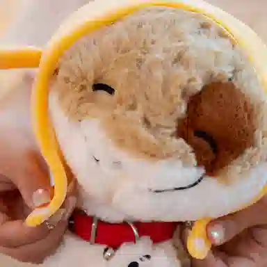 28cm