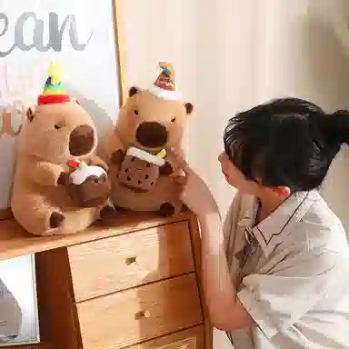 30cm40cm