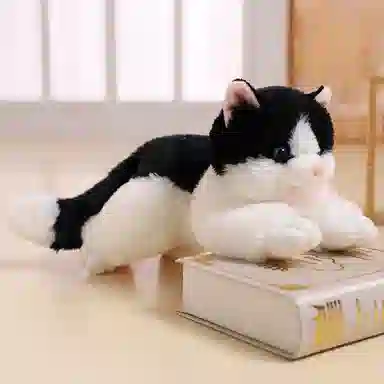 ZHUOQU