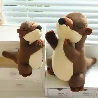 15cm20cm35cm50cm