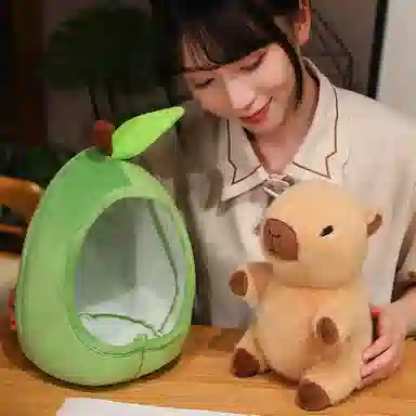 20cm30cm