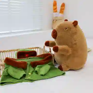 ZHUOQU 28cm38cm50cm