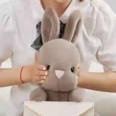 25cm35cm50cm