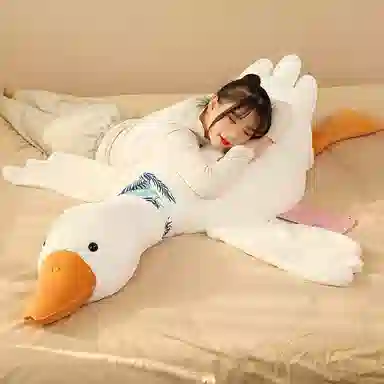 ZHUOQU 50cm90cm130cm160cm200cm