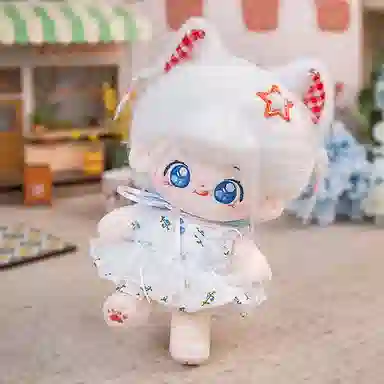 20cm