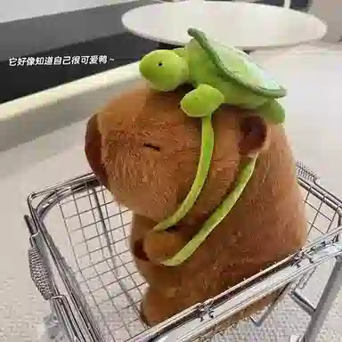 23cm35cm45cm55cm90cm