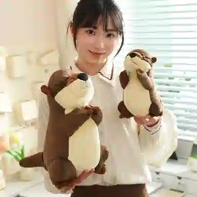 15cm20cm35cm50cm