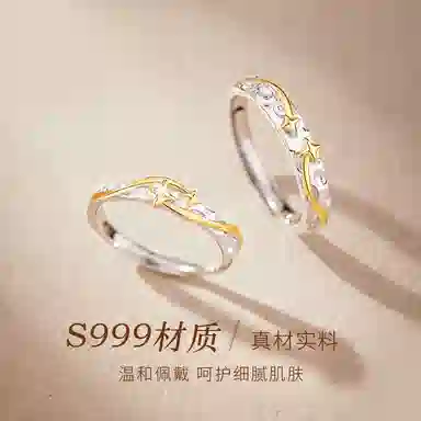 PUENTE S999 999