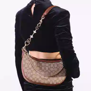 COACHAria Shoulder Bag26