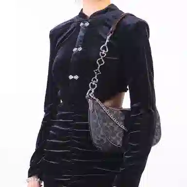 COACHAria Shoulder Bag26