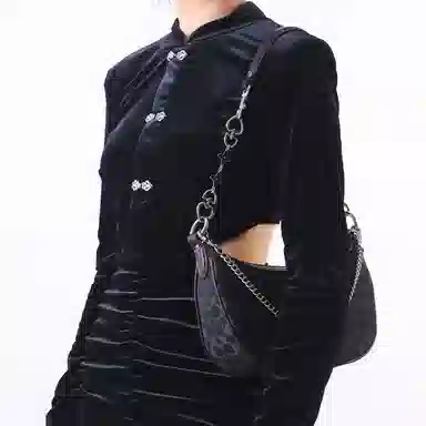 COACHAria Shoulder Bag26