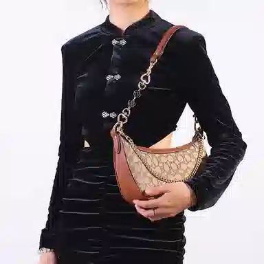 COACHAria Shoulder Bag26