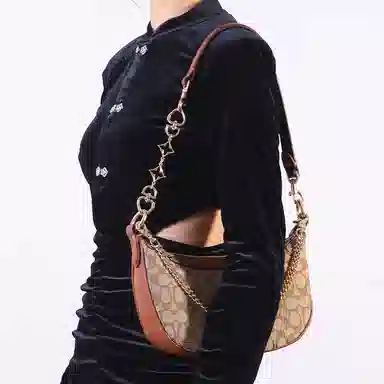 COACHAria Shoulder Bag26