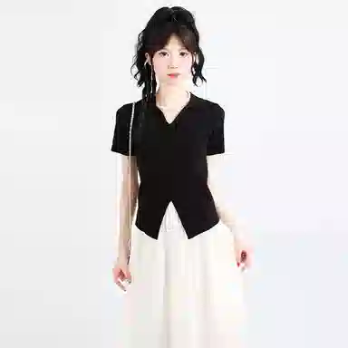 SNZX V T