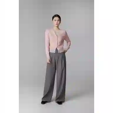 SNZX V2025chic