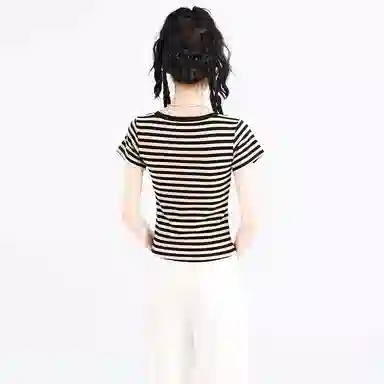 SNZX T