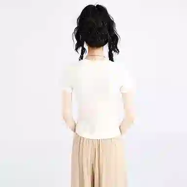 SNZX T