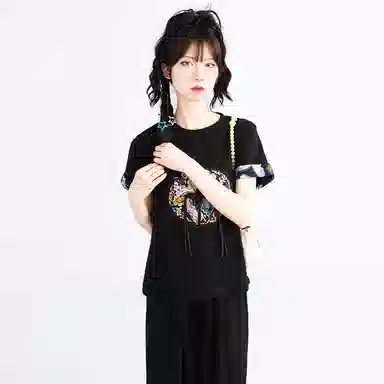 SNZX T
