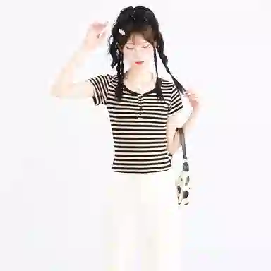SNZX T