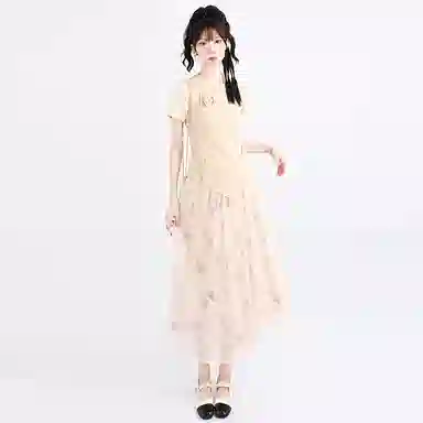 SNZX T