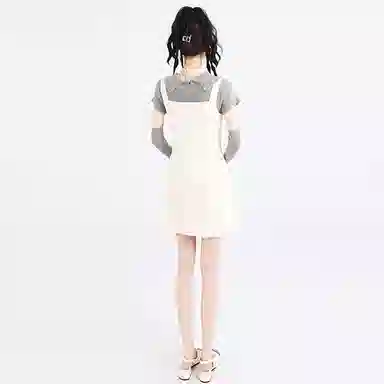 SNZX T