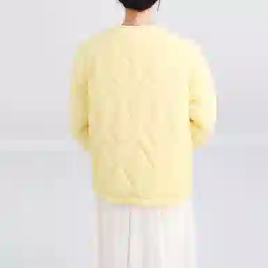 SNZX