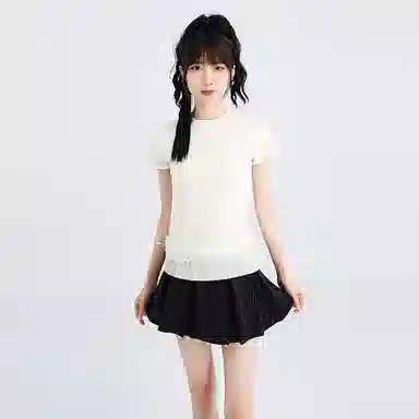 SNZX T