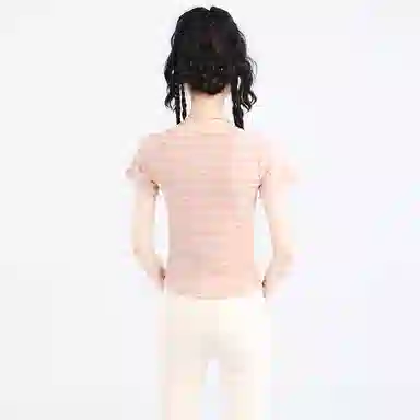 SNZX T