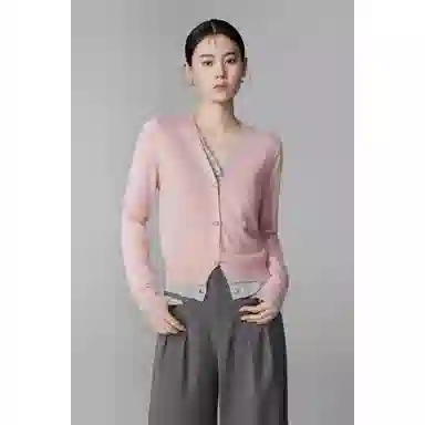 SNZX V2025chic