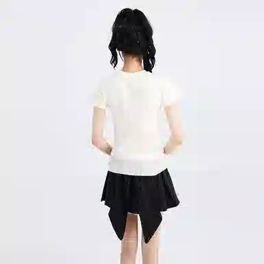 SNZX T