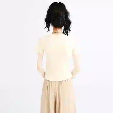 SNZX T