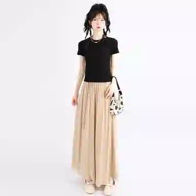 SNZX T