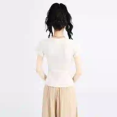 SNZX T