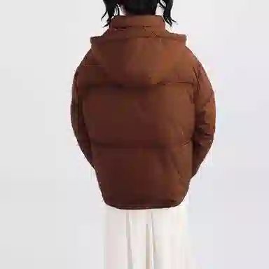 SNZX