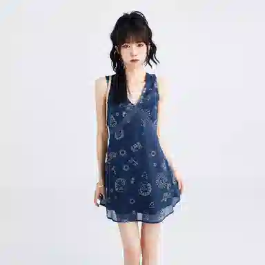 SNZX V
