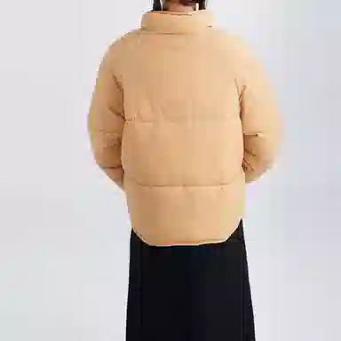 SNZX