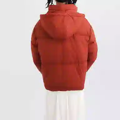 SNZX