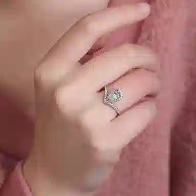 INS 925