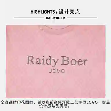 Raidy Boer T