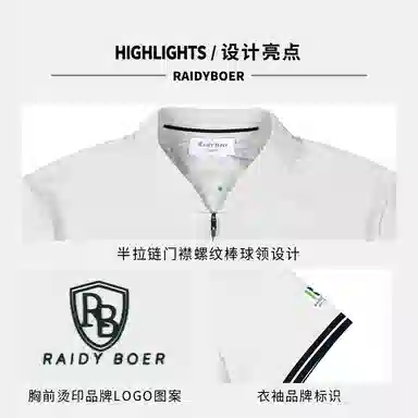 Raidy Boer LOGOT