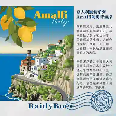 Raidy Boer T