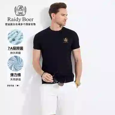Raidy Boer T
