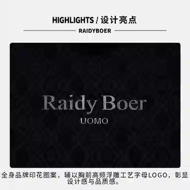 Raidy Boer T
