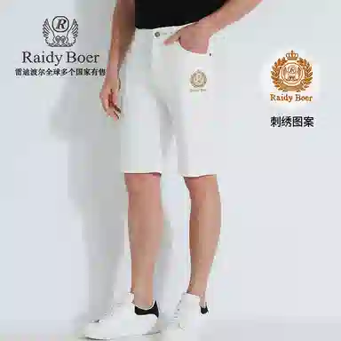 Raidy Boer LOGO